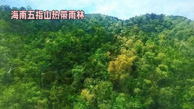 海南五指山:落日霞光下的热带雨林仙境