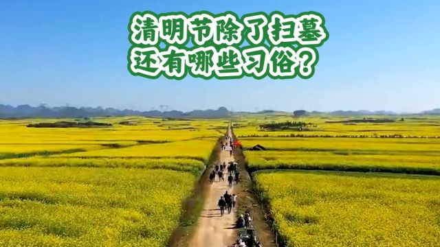 清明节除了扫墓还有哪些习俗?