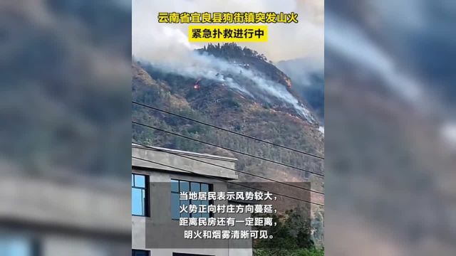 【紧急扑救进行中】 4月10日,云南省宜良县狗街镇一处山体发生山火,涉及村庄为谷家营村和中营村.当地居民表示