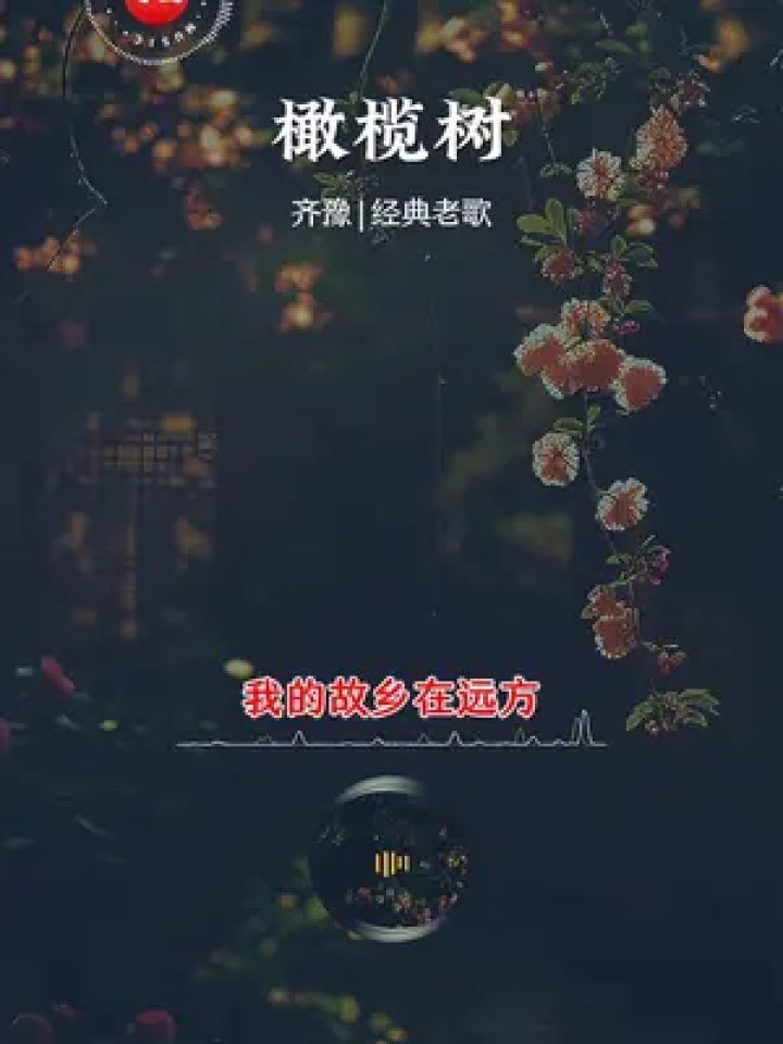齐豫经典老歌《橄榄树》,熟悉的旋律,百听不厌,记载了人生的沧桑和