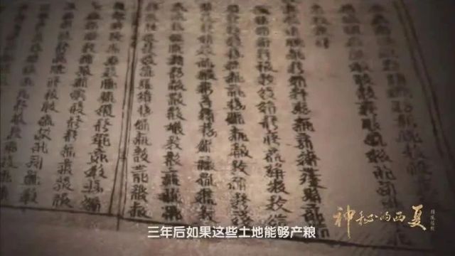 中国古代王朝纪录片《神秘的西夏》10集(全)