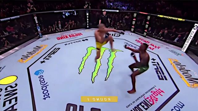 巴西选手经典飞踢ufc南加