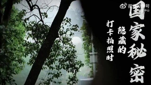 未来一周我市多雷阵雨天气