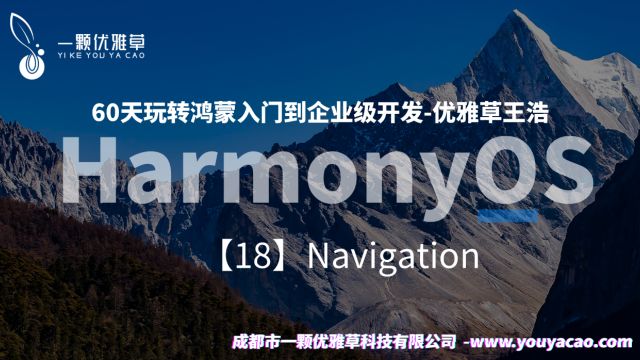 【18】60天玩转鸿蒙入门到企业级开发优雅草王浩 Navigation