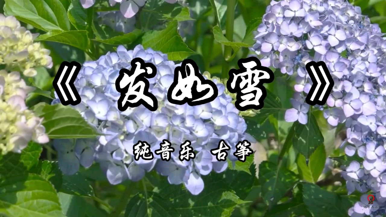 《发如雪》纯音乐完整版#纯音乐 #背景音乐 #前奏一响