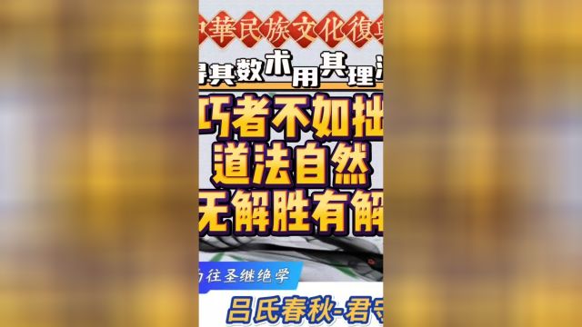 巧者不如拙道法自然无解胜有解