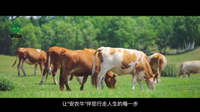 志鹏宣传片720P版