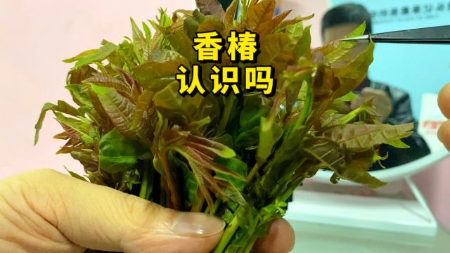 香椿你认识吗?我们用显微镜放大看看,可别再吃核桃树芽了