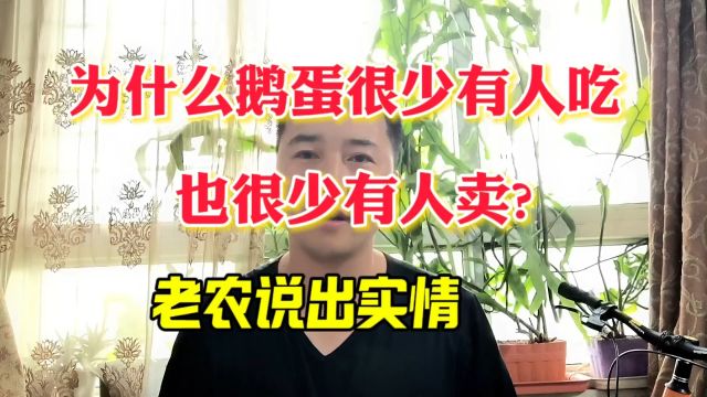 为什么鹅蛋很少有人吃,也很少有人卖?老农说出实情