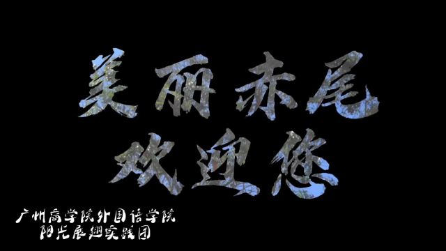 建设“荔”字号品牌——探索岭南特色产业,助力新农村建设(英文版)