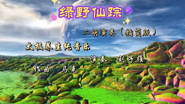 二胡演奏曲《绿野仙踪》太极养生纯音乐,治愈心灵,保养元气