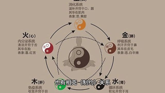 侯宗原国学易经中的五行变化