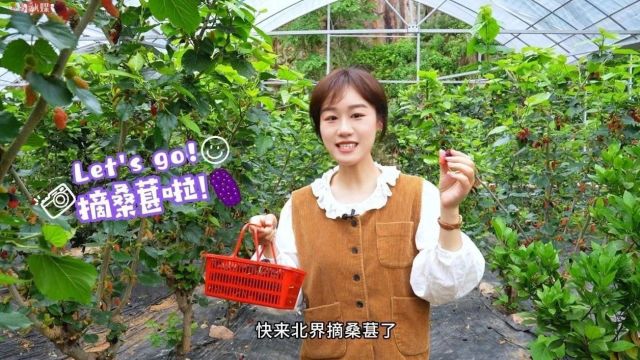 “新鲜”上线,必打卡!遂昌这里“红得发紫”