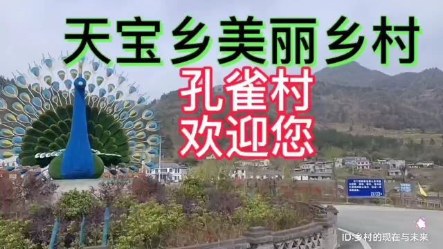 湖北省十堰市竹溪县天宝乡美丽乡村:孔雀村欢迎您的到来!