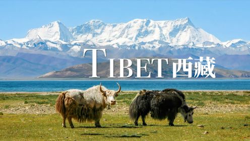 西藏 | 4K 风景休闲影片