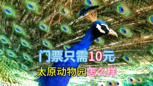 门票仅需10元,华北第二大城市动物园,超值