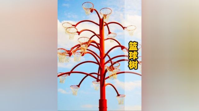 不可思议的“篮球树”,安装20个篮球框,想不进球都难!