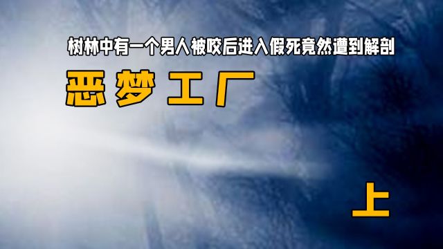 这个男人是个金牌杀手没想到竟大战起玩具小兵:《噩梦工厂》上