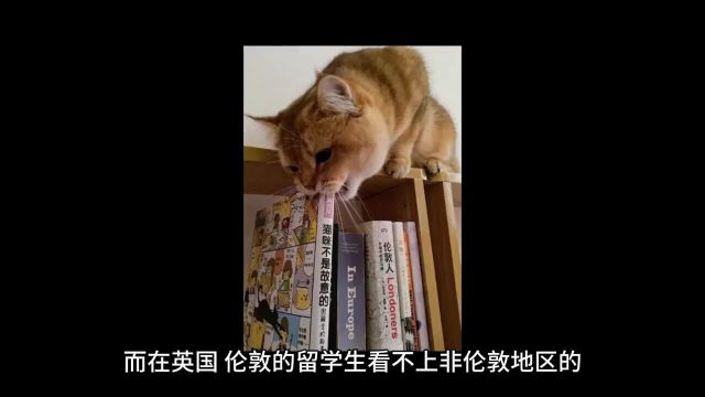 这就触及到我的知识领域了分享下这些年的留学鄙视链变化