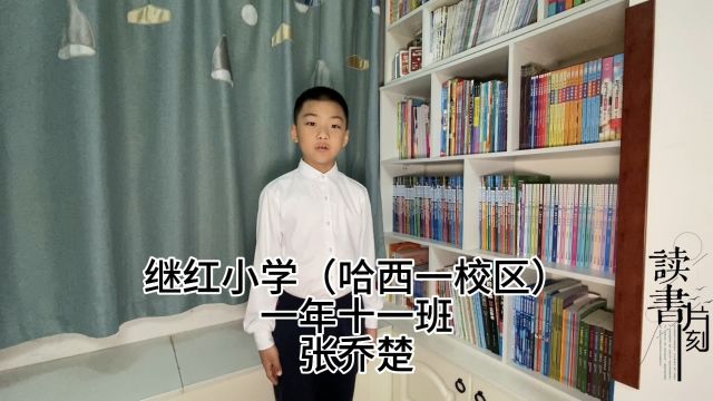 家有宝贝——我心爱的小书架