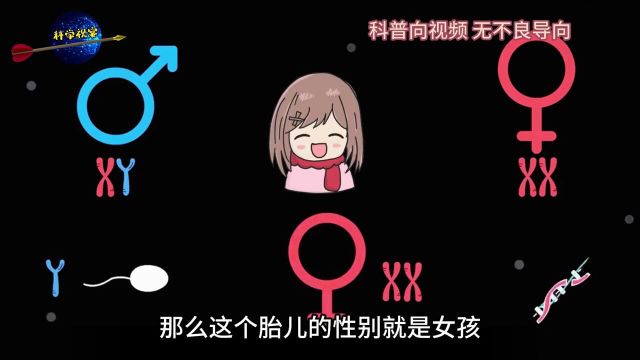 胎儿的性别是由谁决定的科学视宴