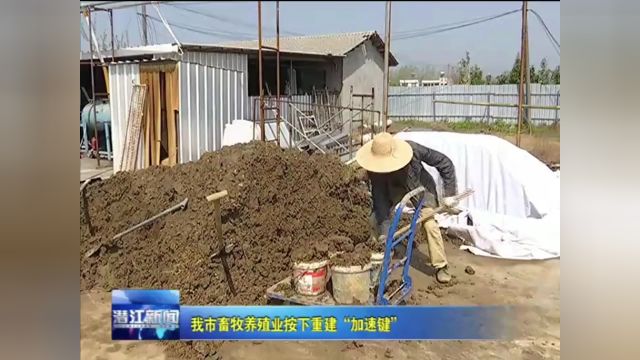 我市畜牧养殖业按下重建“加速键”