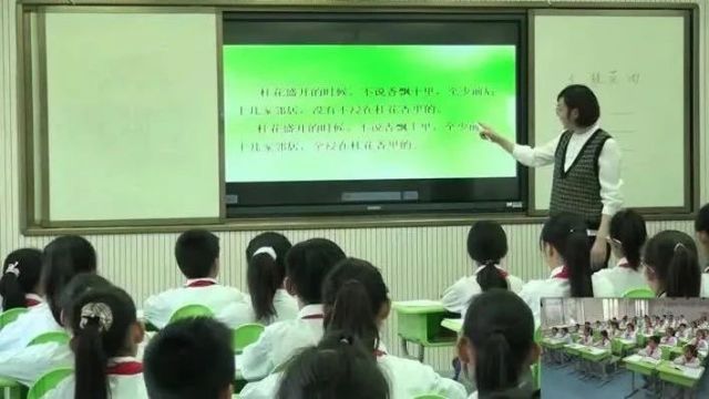 【小语优质课】小学语文五年级优质课(0110)