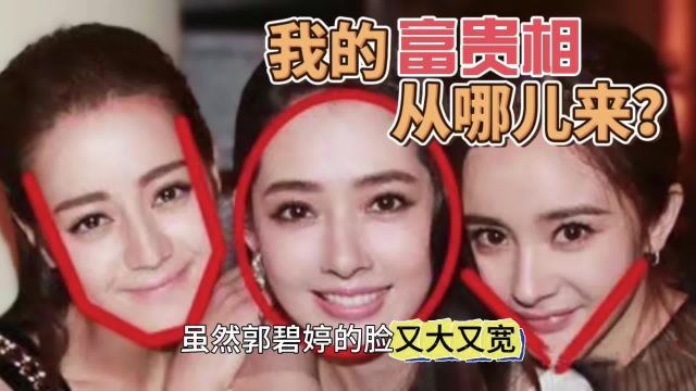 向太为什么越来越喜欢郭碧婷?