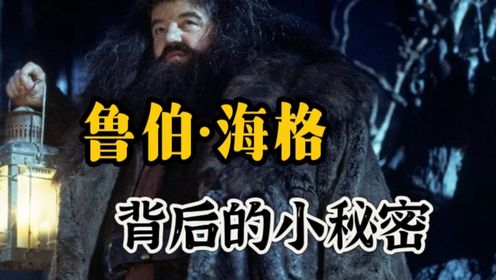 你知道关于《哈利·波特》里的海格有哪些趣事吗？_高清1080P在线观看平台_腾讯视频
