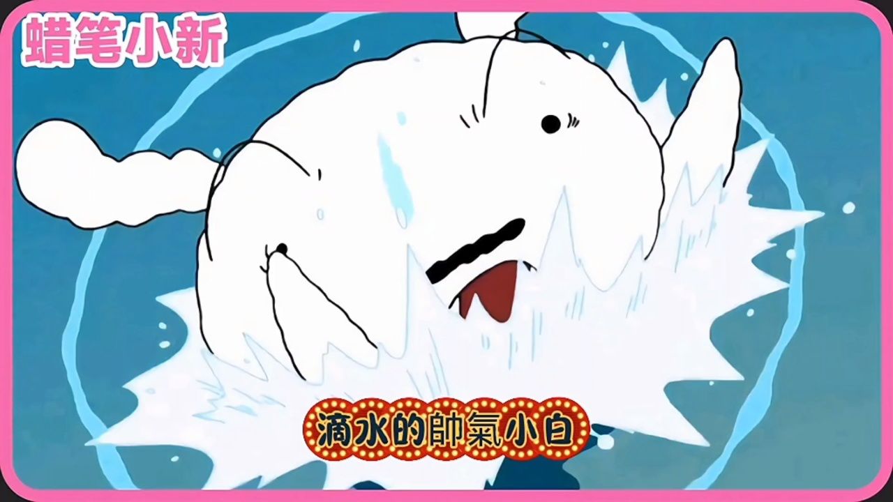 小白:这碗闲饭不是白吃的