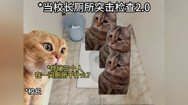 第2集|当校长厕所突击检查2.0#内容过于真实#校园日常#精神状态belike