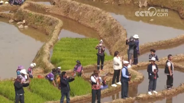 云南红河:五一假期特色民俗活动,展现民族风情