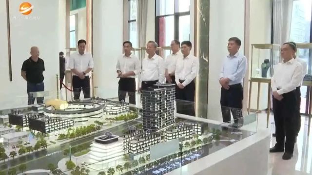 陈建文到揭阳调研 强调奋力打造县镇村现代化建设样板