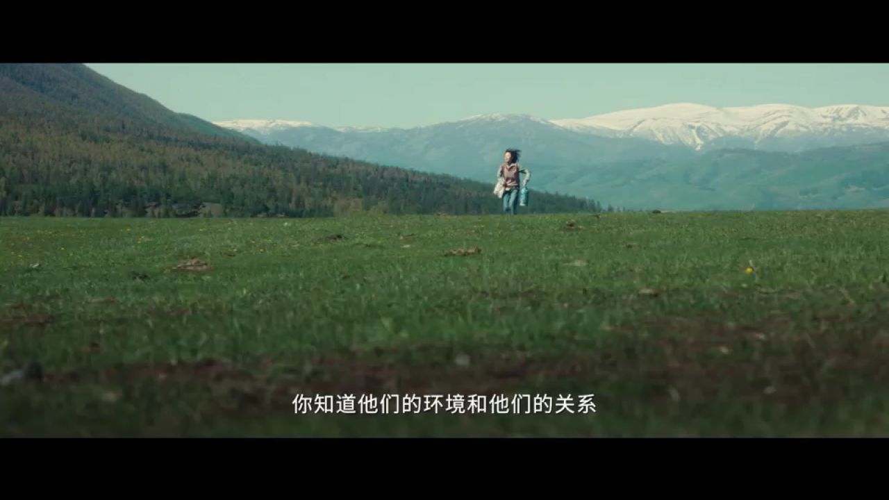 电视剧《我的阿勒泰》今晚cctv-1和爱奇艺开播