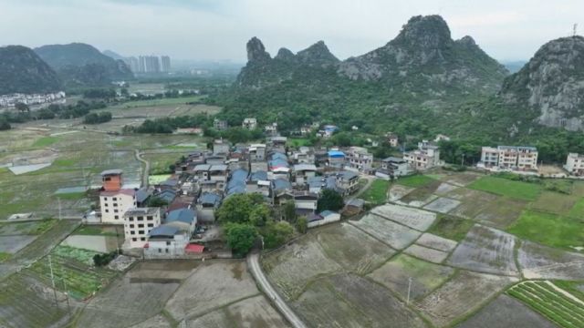 春末夏初桂林灵川县定江乡莲花村委开启耕田模式