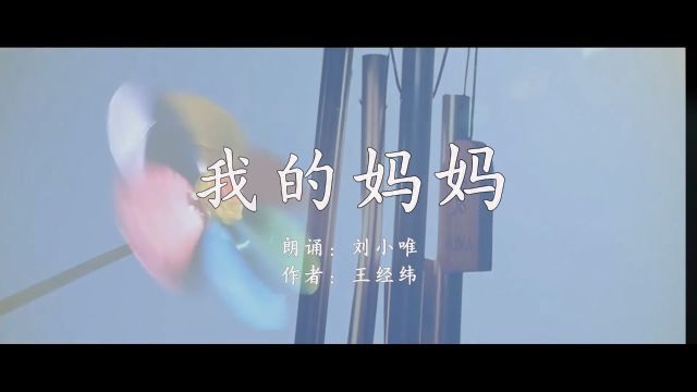 王经纬原创诗歌朗诵《我的妈妈》超级星主播 (2)