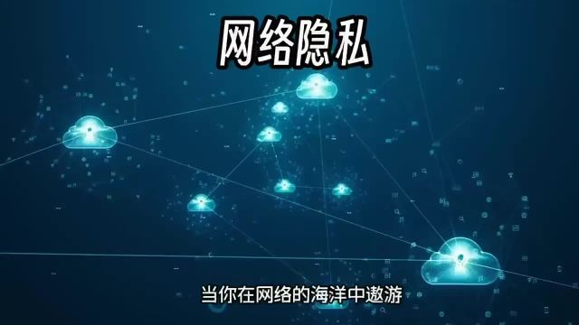 网络隐私揭秘:你的秘密,无处可藏!