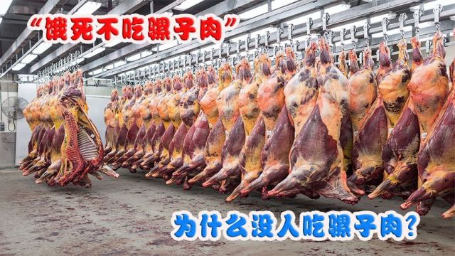 “饿死不吃骡子肉”,马肉驴肉都有人吃,为什么没人吃骡子肉?