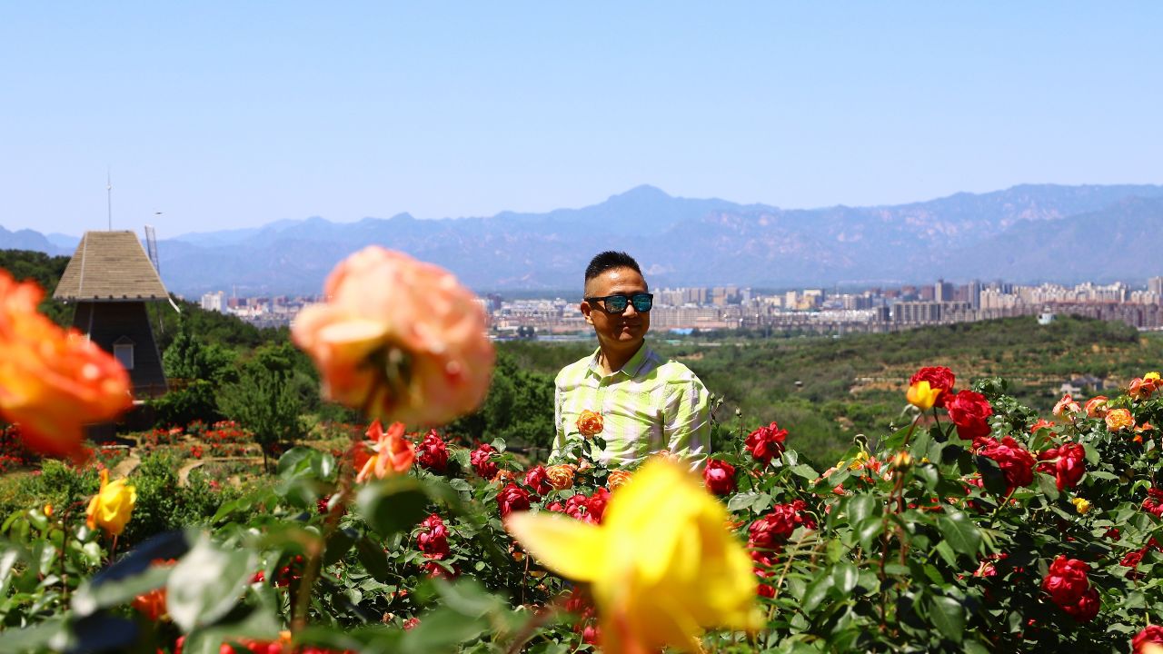 玫瑰情园景区位于北京市密云区巨各庄镇蔡家洼村,占地面积2000余亩