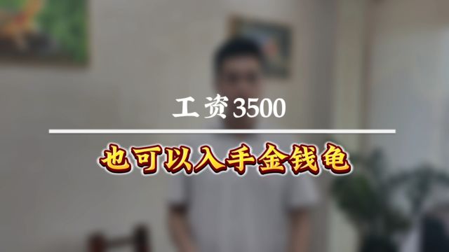 工资3500?照样也可以玩的起金钱龟!