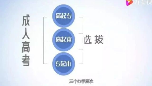 2024年成考报名及考试时间,想参加今年入学考试的抓紧时间报名啦