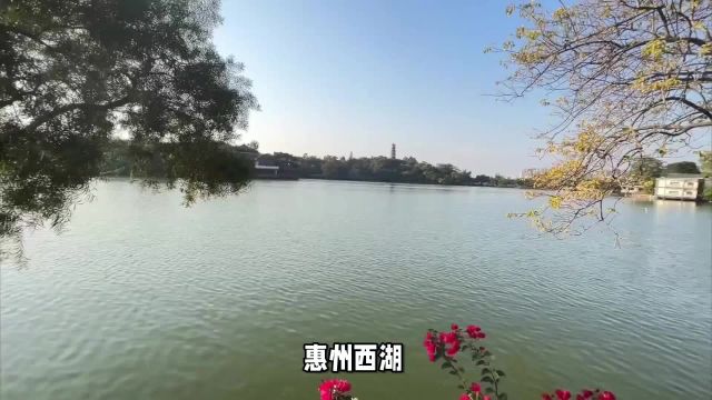 惠州西湖:岭南水韵间的诗与远方