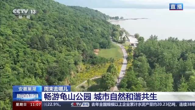 与巢湖碧波“亲密接触” 一起来龟山公园畅游