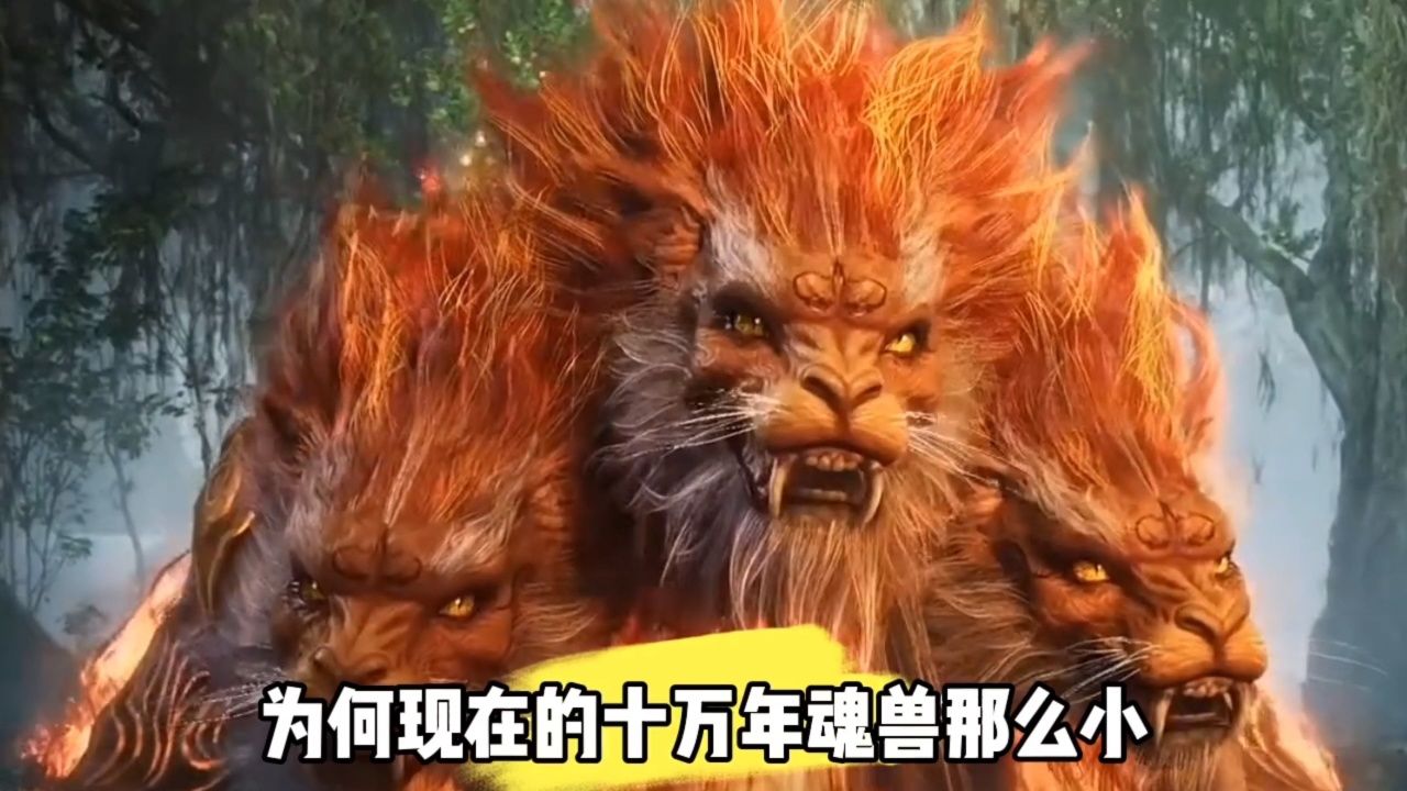为何现在的十万年魂兽那么小?