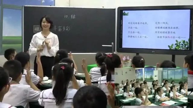 【小语优质课】小学语文四年级优质课(1120)