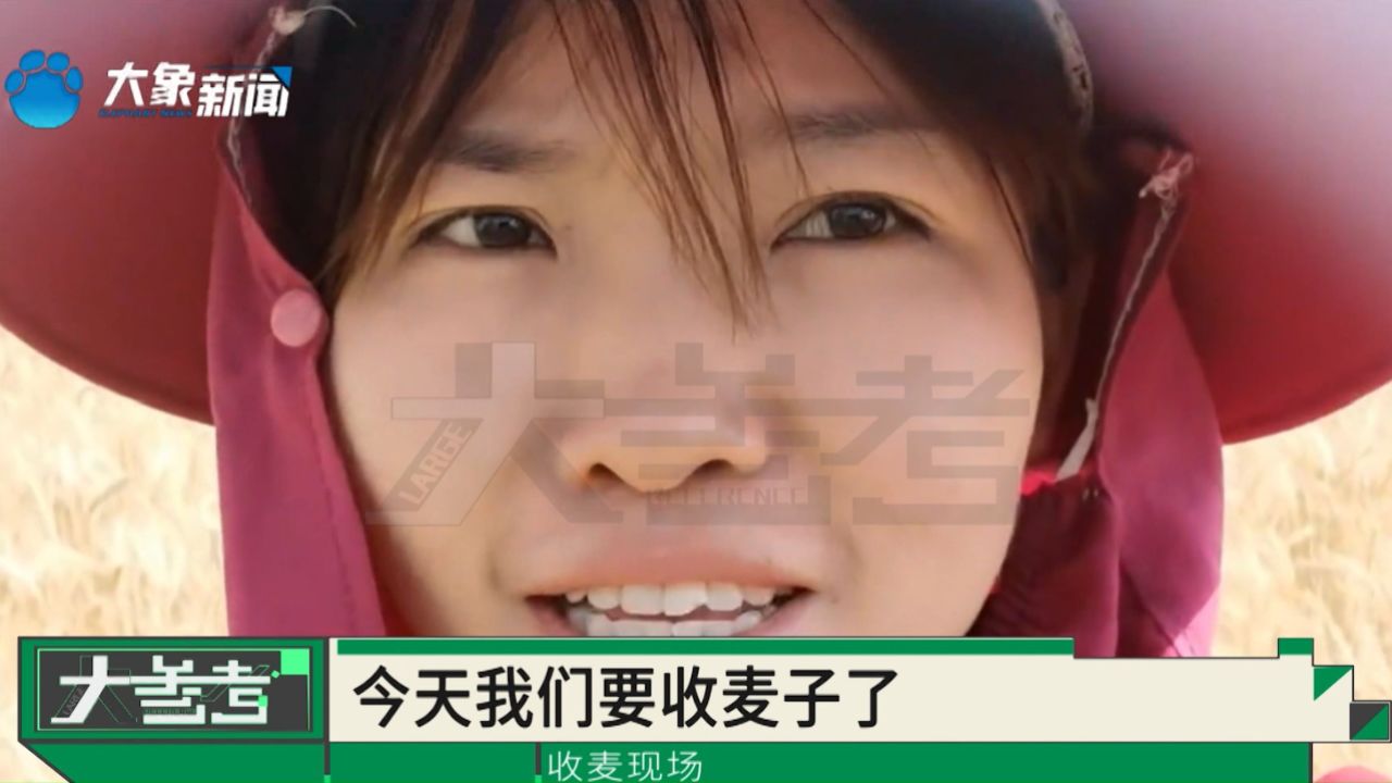 麦子熟了,中原大地拉开麦收序幕.
