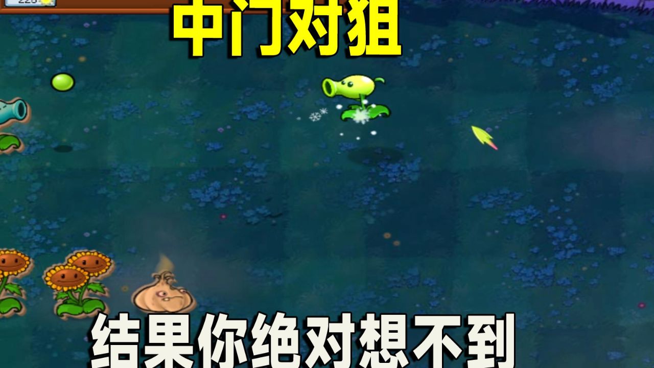 植物大战僵尸:小豌豆和寒冰上演中门对狙,结果你绝对想不到