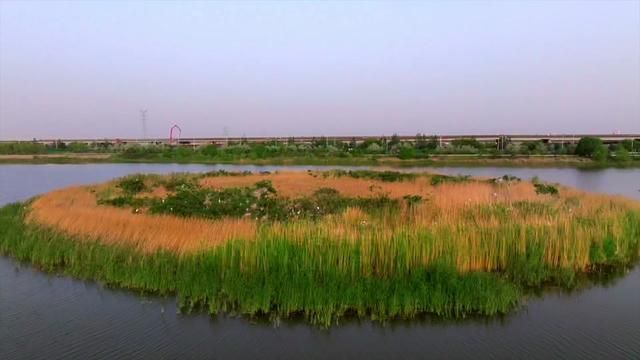 你能想象,这样的场景就在身边吗?位于宁夏石嘴山市的星海湖,是一片宁静而美丽的水域,湖水清澈见底,两岸草木葱茏,鸟语花香.