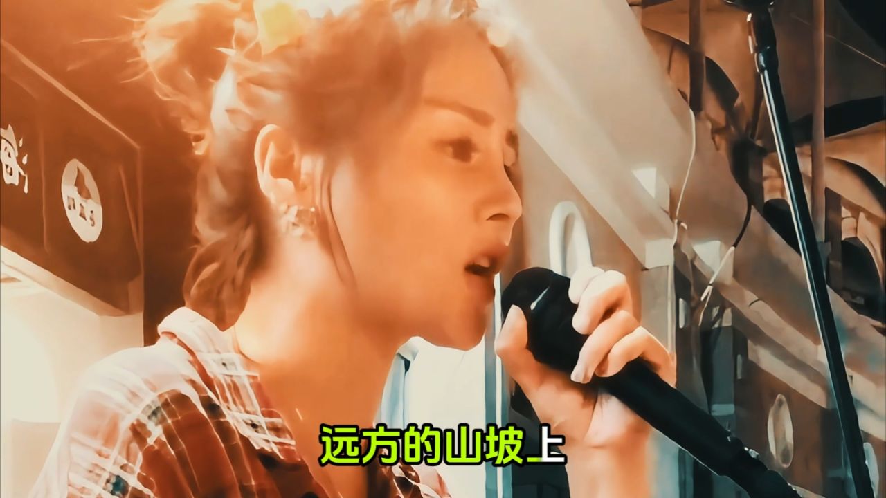 花姐演唱《流浪兄弟》:一次深情的演唱,一场心灵的触动