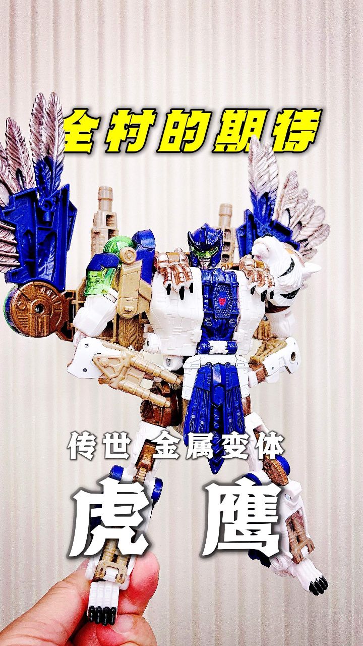 跨世纪的重逢 变形金刚传世金属变体虎鹰
